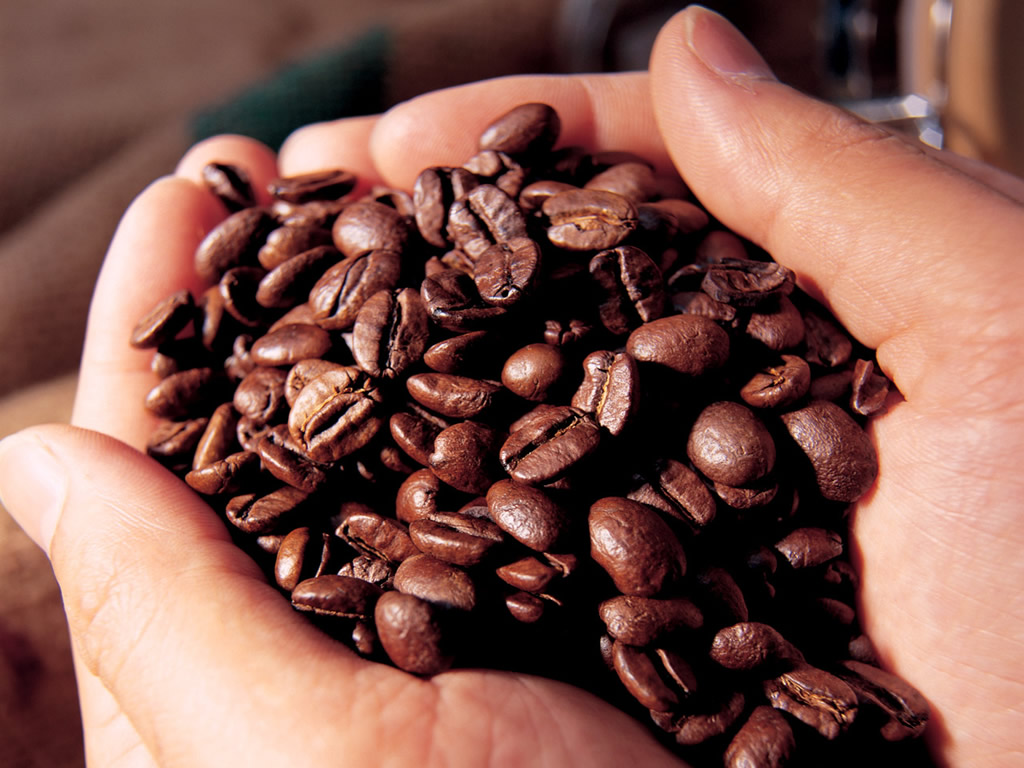 Grãos de café torrado